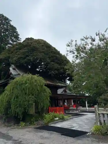 大前神社(栃木県)