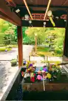 勝林寺の手水舎