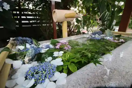 猿田彦神社(東京都)