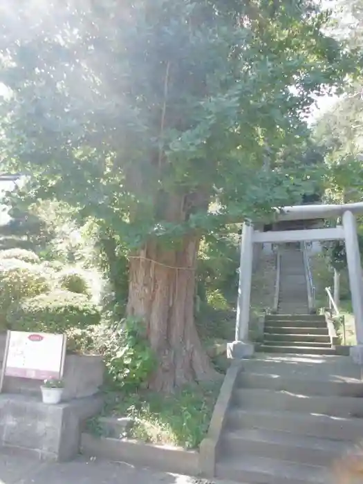 子ノ辺神社の建物その他