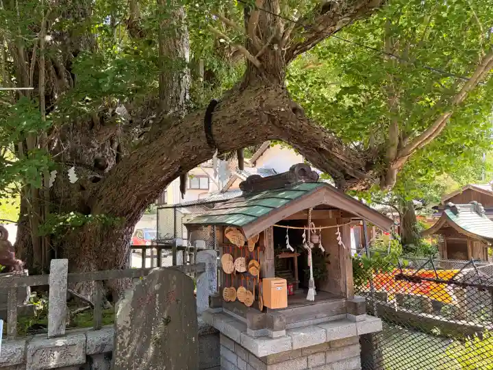 海南神社の{uncategorized: "未分類", other: "その他", undefined: "問題あり", building: "その他建物", grave: "お墓", sacred_gate: "鳥居", guardian: "狛犬", statue: "像", buddha: "仏像", history: "歴史", nature: "自然", garden: "庭園", animal: "動物", pagoda: "塔", temizu: "手水舎", mountain_gate: "山門・神門", sanctuary: "本殿・本堂", subordinate: "末社・摂社", art: "芸術", scenery: "景色", jizo: "地蔵", ema: "絵馬", goshuin: "御朱印", omikuji: "おみくじ", items: "授与品その他", amulet: "お守り", goshuincho: "御朱印帳", eats: "食事", festival: "お祭り", votive_dance: "神楽", shichigosan: "七五三参", wedding: "結婚式", experience: "体験その他", initially: "初詣", around: "周辺", anti_infection: "感染症対策"}