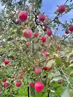 蚊里田八幡宮(長野県)