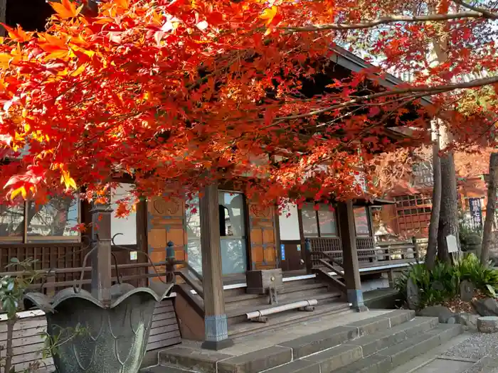 養玉院如来寺の本殿