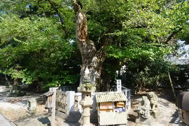 賣布神社のその他建物