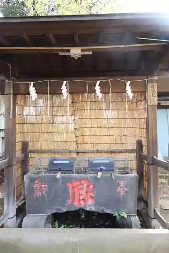 駒込天祖神社(東京都)