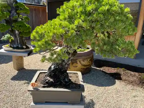 芳春院(京都府)