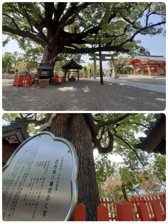 百舌鳥八幡宮(大阪府)