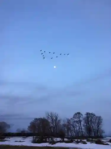 金比羅神社(北海道)