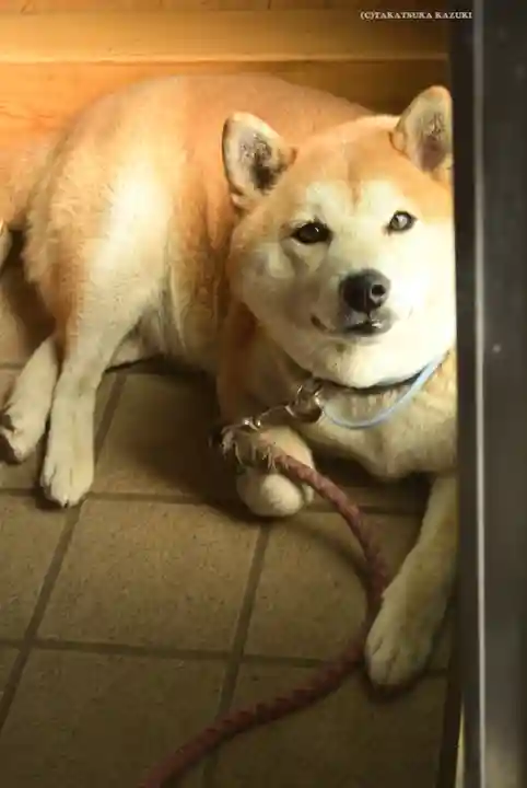 笠䅣稲荷神社(神奈川県)