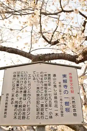 実報寺(愛媛県)