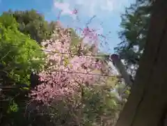 滑川神社 - 仕事と子どもの守り神の自然