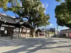 踞尾八幡神社の建物その他