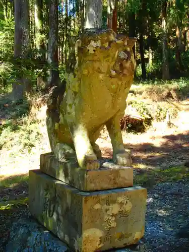 清瀬神社の狛犬