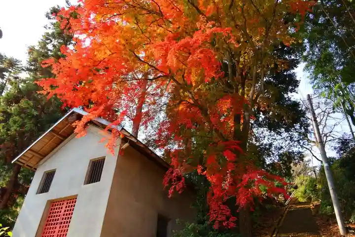 田村神社の自然
