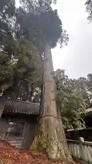 八幡神社(兵庫県)