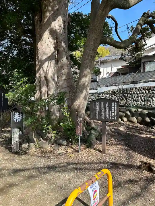 菅原神社(神奈川県)