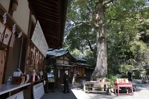 荏柄天神社(神奈川県)