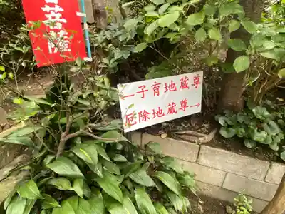 大船観音寺のその他建物