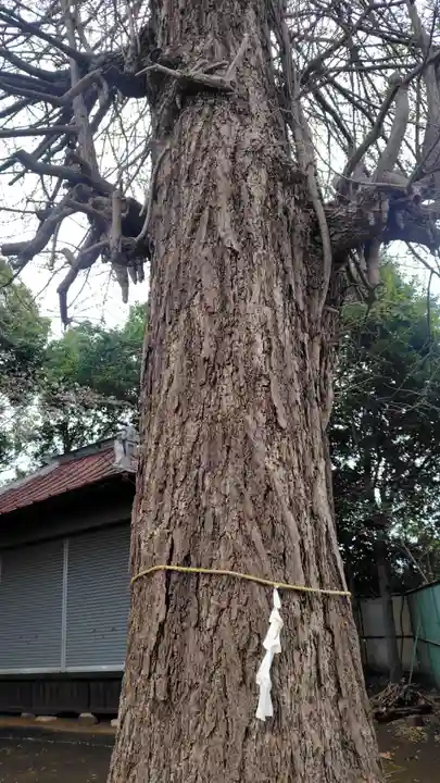 諏訪神社(神奈川県)