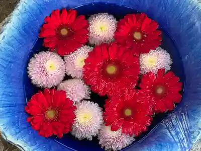 川越八幡宮(埼玉県)