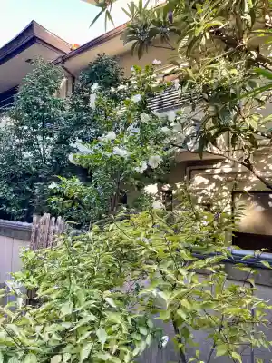 成覚寺(東京都)