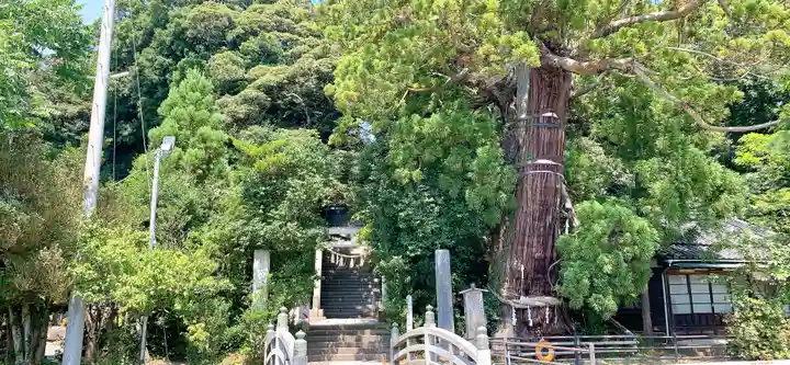 大國魂神社のその他建物
