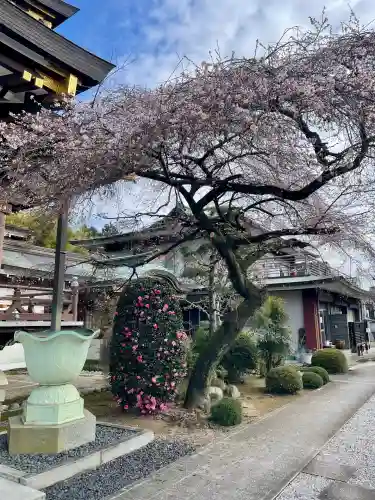 大義寺(東京都)