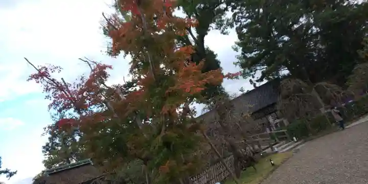 北野天満宮(京都府)