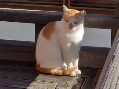 慶運寺(神奈川県)