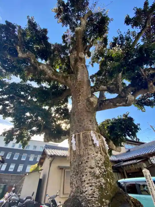 金札宮(京都府)