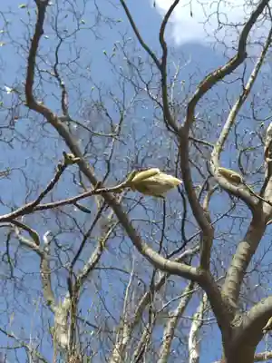 厚別神社(北海道)