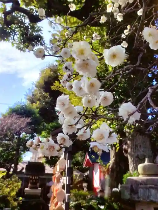 新井天神北野神社(東京都)