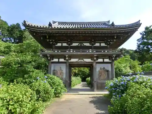 観音寺の山門