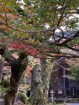 感応殿のその他建物