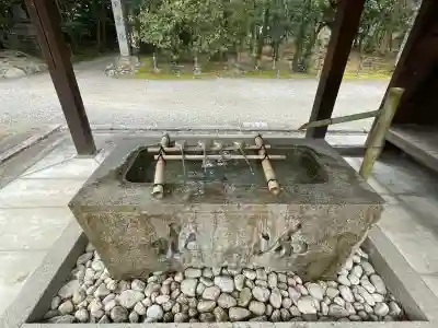 妙興報恩禅寺（妙興寺）の{uncategorized: "未分類", other: "その他", undefined: "問題あり", building: "その他建物", grave: "お墓", sacred_gate: "鳥居", guardian: "狛犬", statue: "像", buddha: "仏像", history: "歴史", nature: "自然", garden: "庭園", animal: "動物", pagoda: "塔", temizu: "手水舎", mountain_gate: "山門・神門", sanctuary: "本殿・本堂", subordinate: "末社・摂社", art: "芸術", scenery: "景色", jizo: "地蔵", ema: "絵馬", goshuin: "御朱印", omikuji: "おみくじ", items: "授与品その他", amulet: "お守り", goshuincho: "御朱印帳", eats: "食事", festival: "お祭り", votive_dance: "神楽", shichigosan: "七五三参", wedding: "結婚式", experience: "体験その他", initially: "初詣", around: "周辺", anti_infection: "感染症対策"}