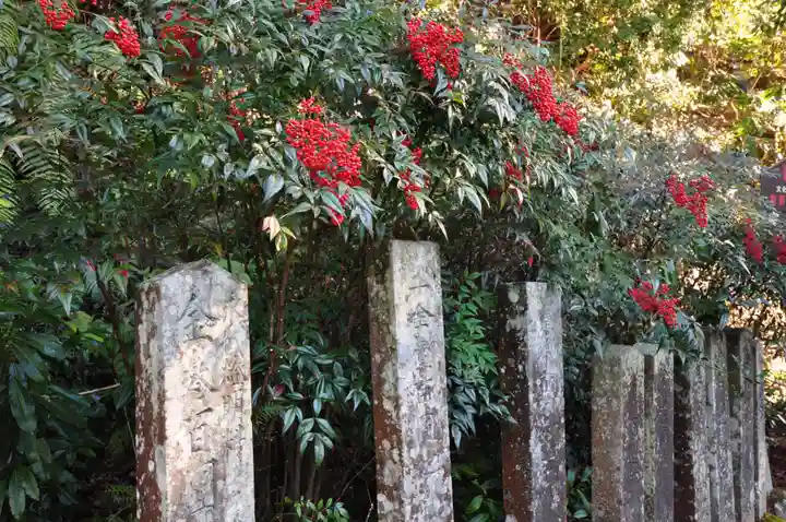 室生寺(奈良県)