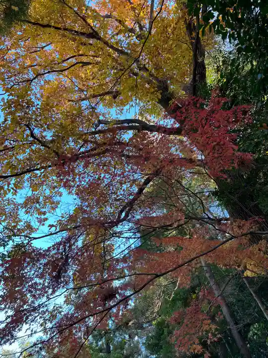 天台宗 長窪山 正覚寺の自然