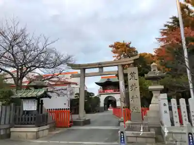 荒井神社の鳥居
