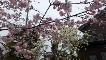 蓮経寺(滋賀県)