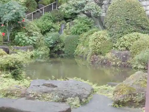 林光寺の庭園