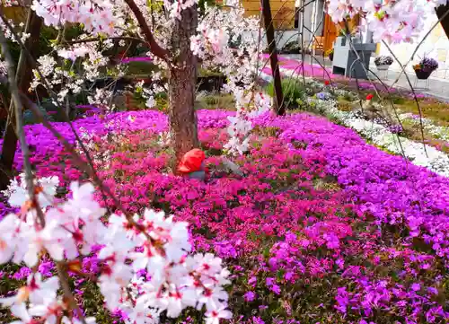 寿量山　速成寺の自然