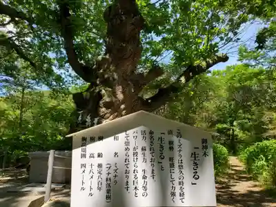 那須温泉神社(栃木県)