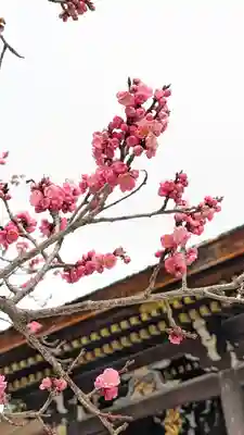 北野天満宮(京都府)