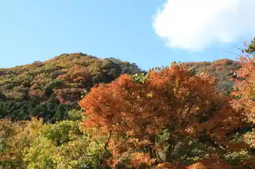 高司神社〜むすびの神の鎮まる社〜の景色