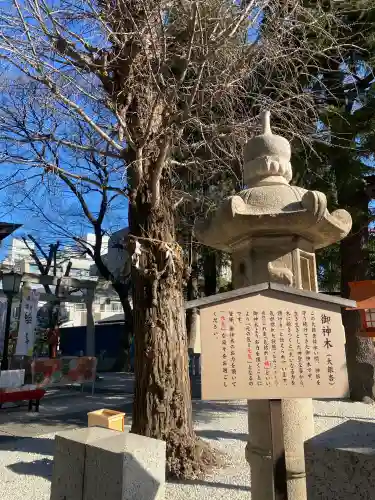 草加神社(埼玉県)