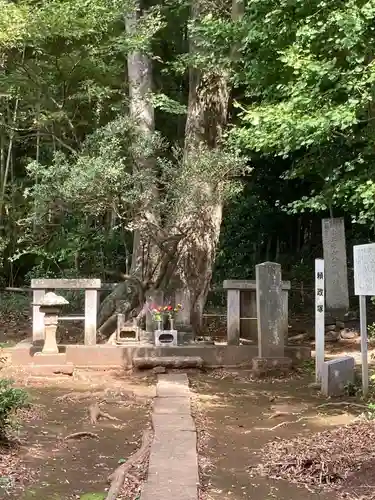 結縁寺(千葉県)