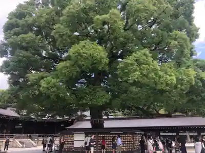 明治神宮(東京都)