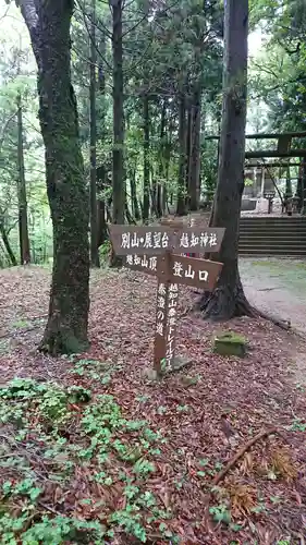 越知神社の建物その他