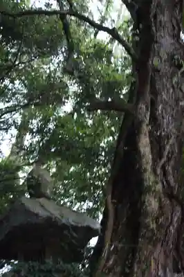 阿上三所神社(京都府)