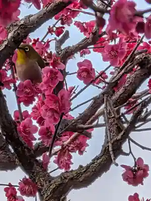 鳳林寺(東京都)